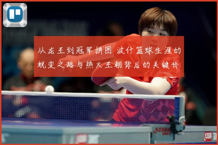 从龙王到冠军拼图 波什篮球生涯的蜕变之路与热火王朝背后的关键价值